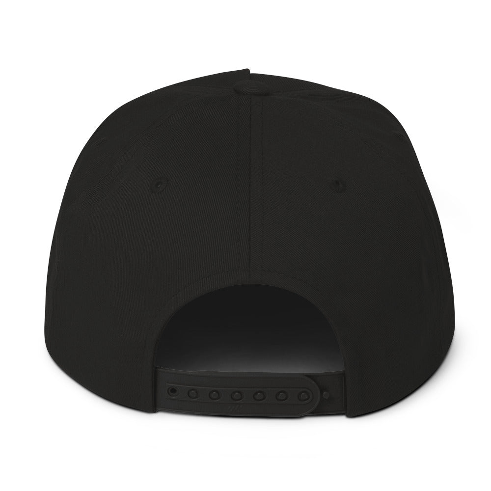 Custom Dune logo Flat Bill Cap